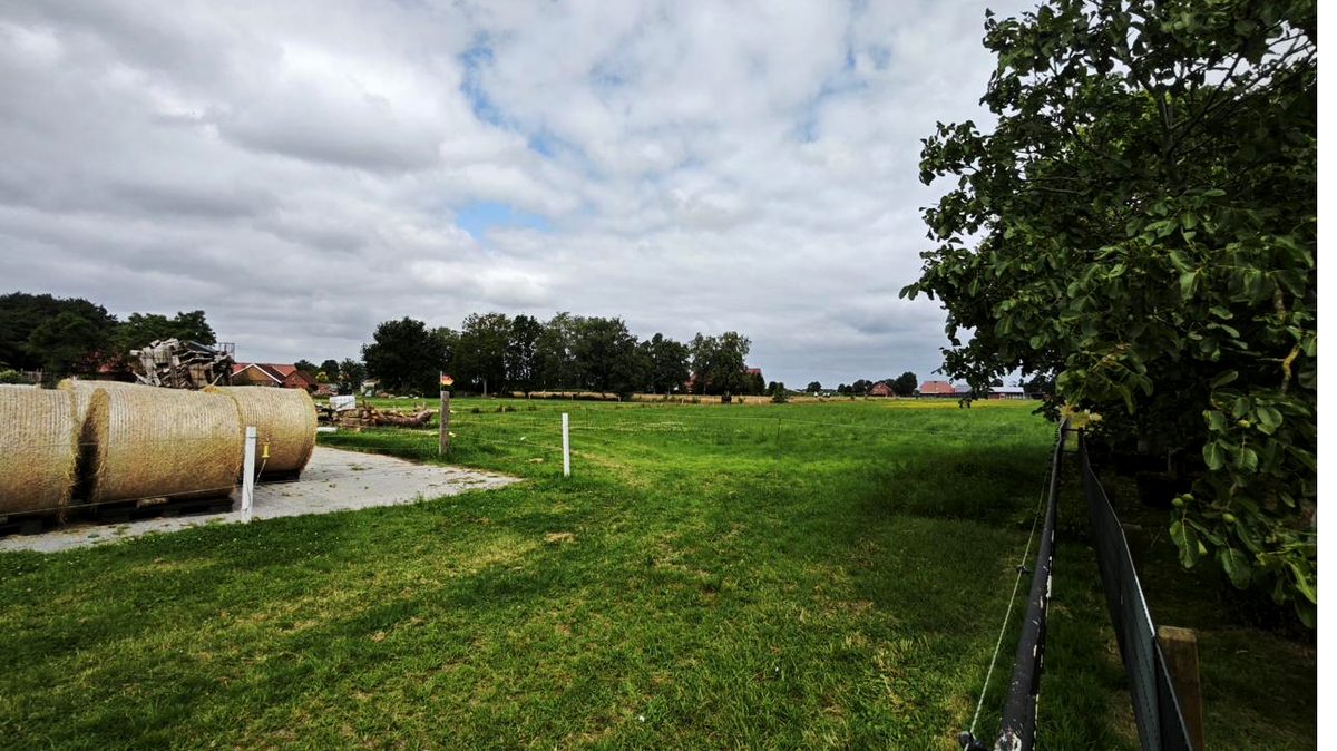 Ferienwohnung Tammen – Marienhafe im Brookmerland